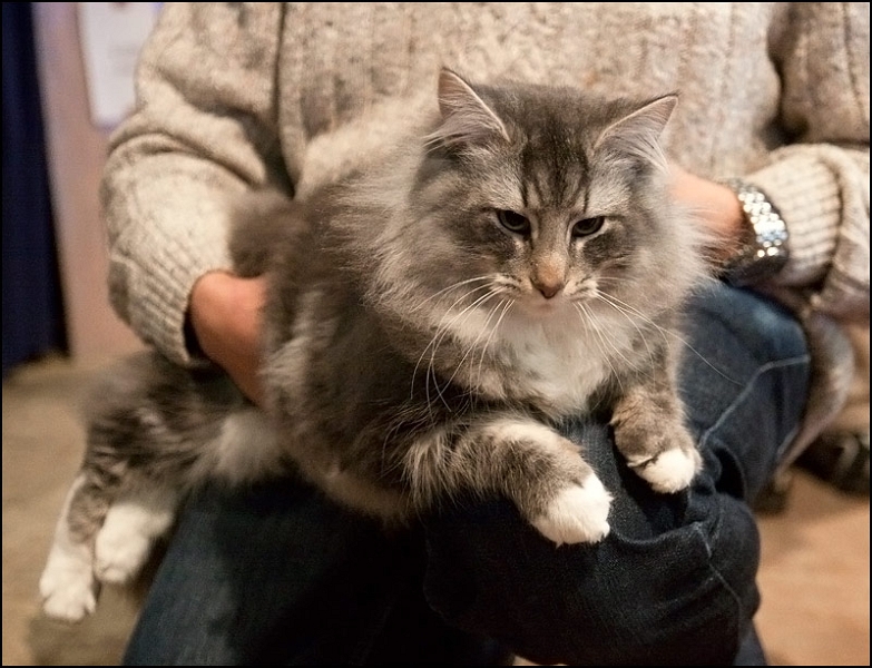 Inconnu 11.jpg - Inconnu